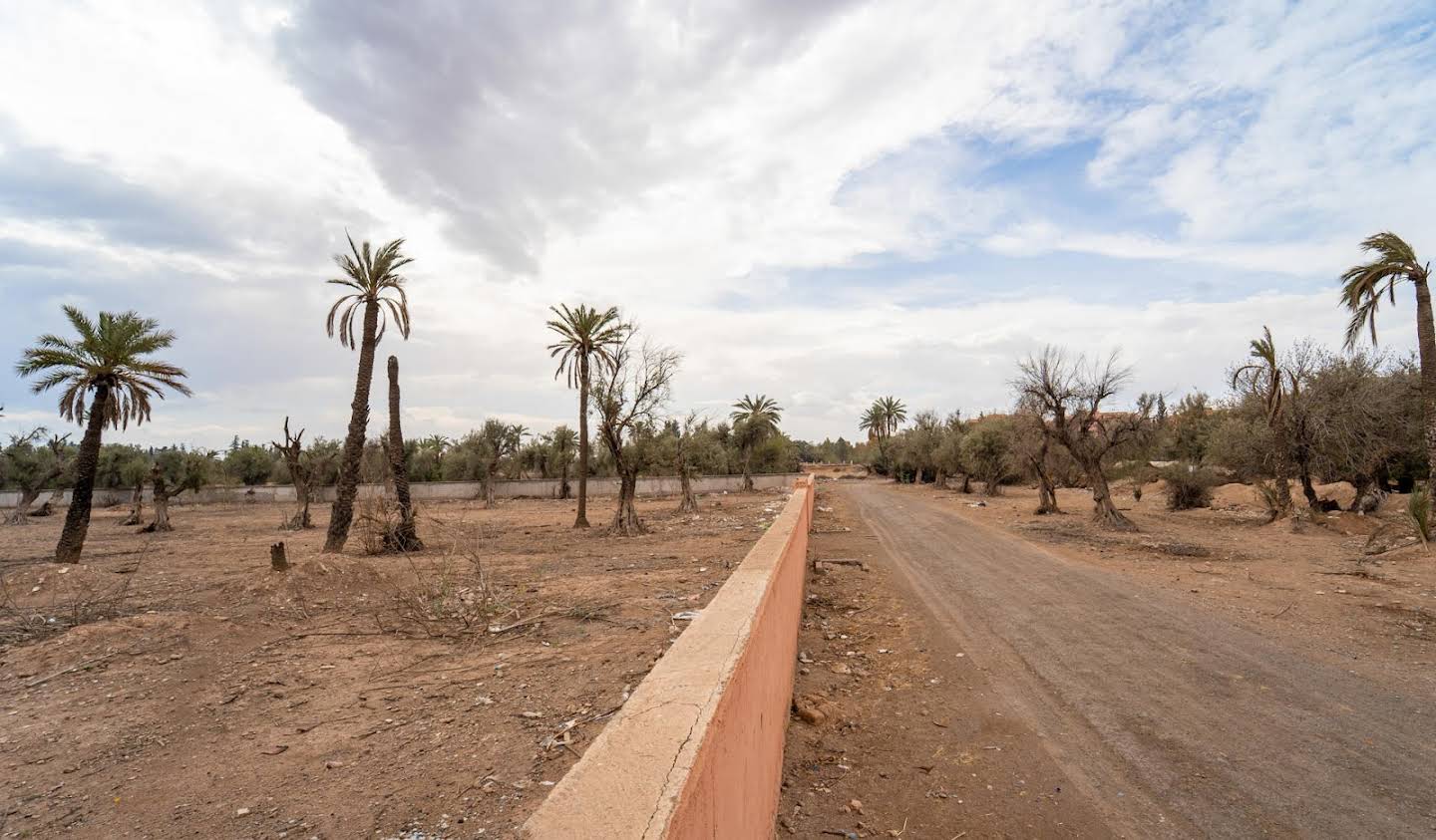 Land Marrakesh