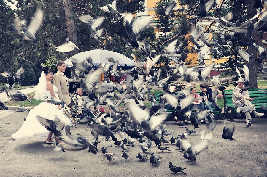 Düğün fotoğrafçısı Olga Reshetchenko (olgaresh). 21 Temmuz 2017 fotoları