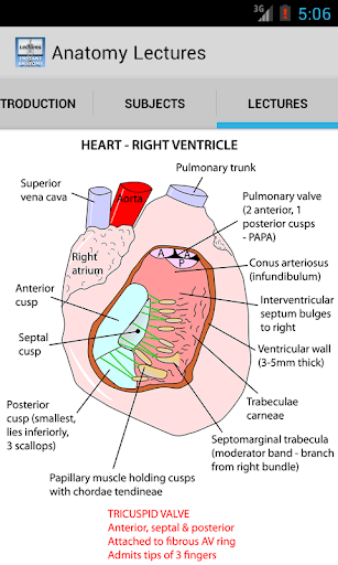 Anatomy Lectures