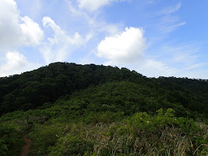 平坦な尾根道で浄法寺山近くに