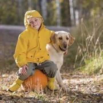 Pumpkin Dog Cookies