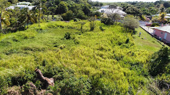 terrain à Baie mahault (971)