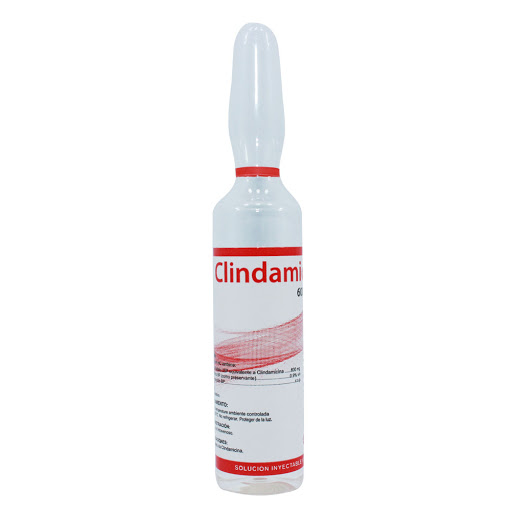 //Clindamicina 600mg/100ml Infusion Amp Clindamicina
