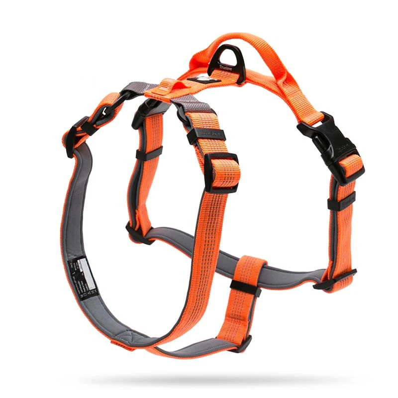 Harnais-laisse type gilet pour chien, contrôle et confort en promenade. Réglable, sûr, idéal pour l'entraînement et les balades quotidiennes.