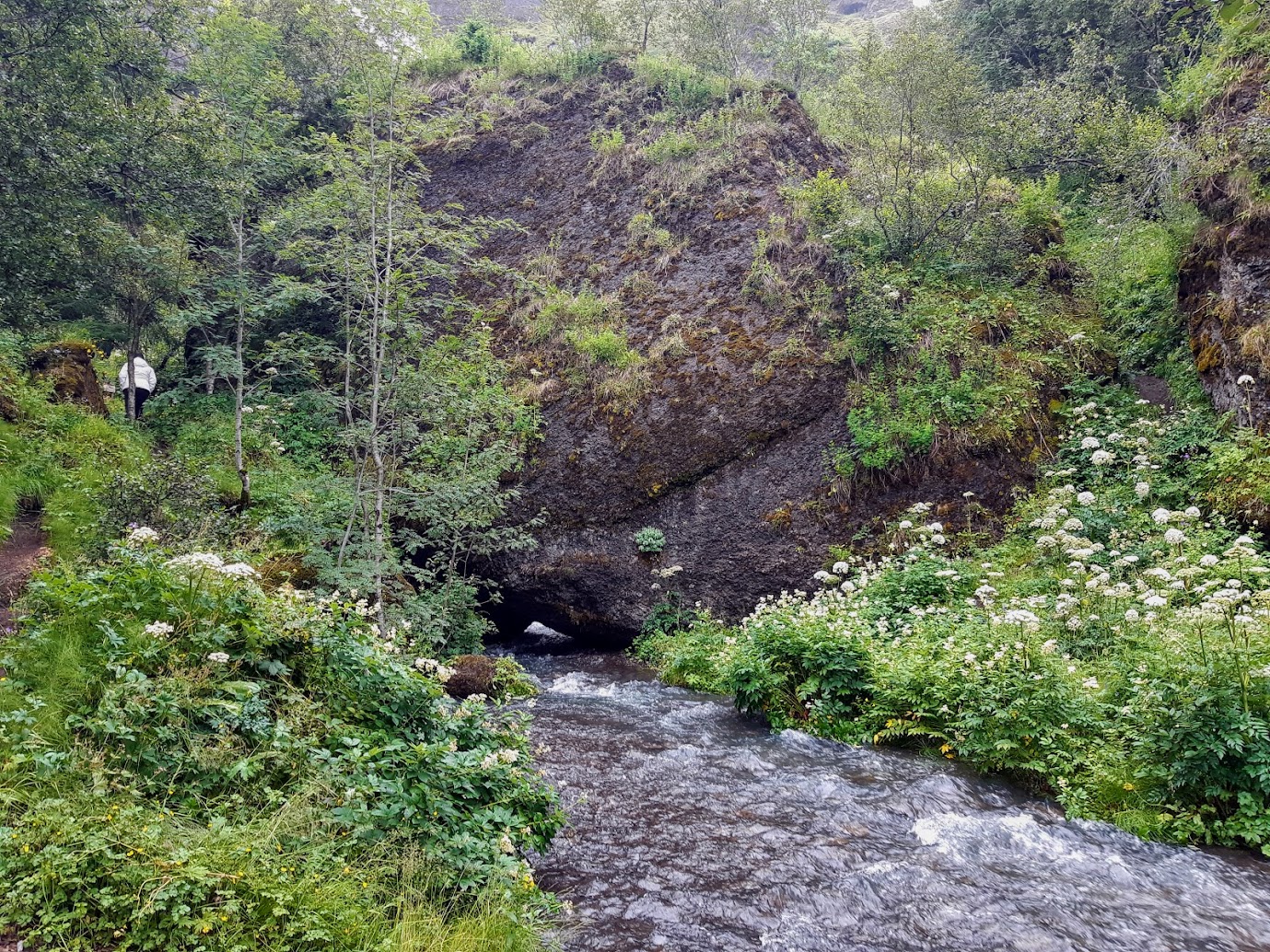 Исландия - родина слонов (архипелаг Vestmannaeyjar, юг, север, запад и Центр Пустоты)