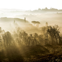 Alba in collina di 