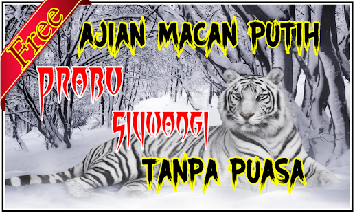 Ajian Macan Putih Tanpa Puasa Lengkap - náhled