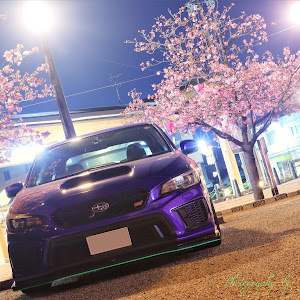 WRX STI VAB