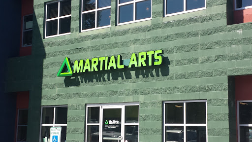 Active Martial Arts