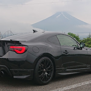 86 ZN6