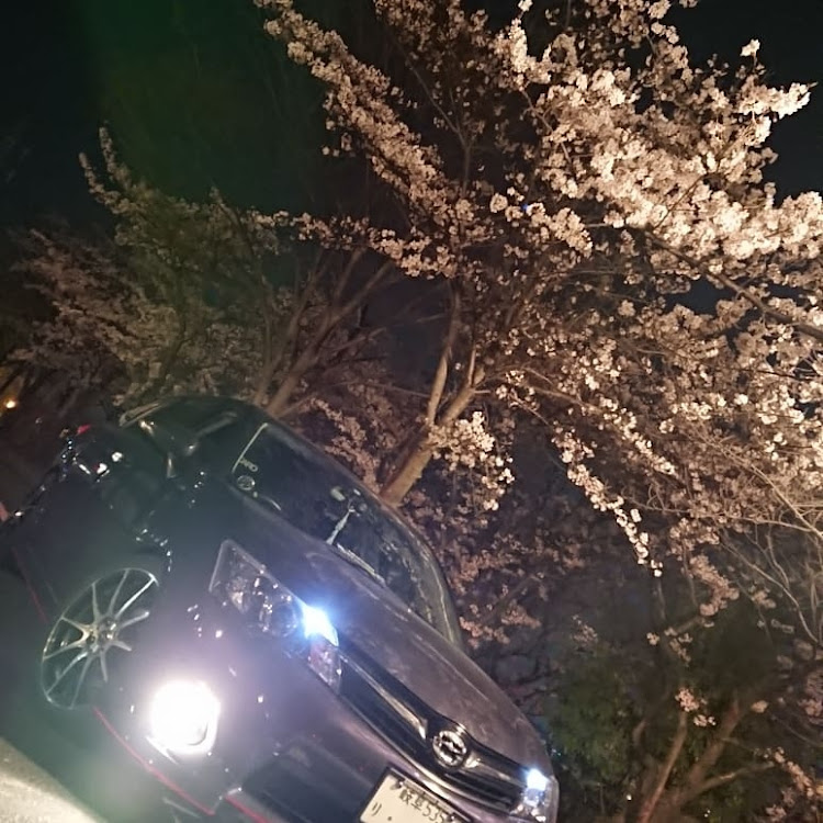 カローラフィールダーのドライブに関するカスタム事例の投稿画像2枚目