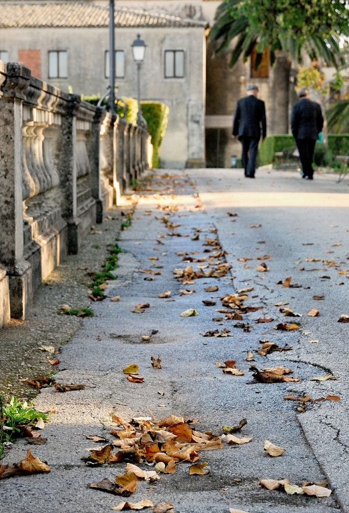 Il viale del tramonto... di Salvatore Gulino