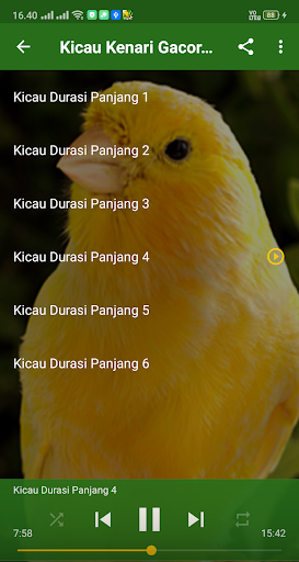 Kicau Kenari Gacor Juara Ngerol Panjang Offline