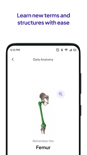 Screenshot Daily Anatomy Flashcards