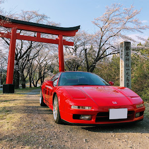 NSX NA1