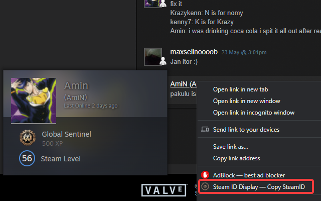 steamID Display Preview image 5