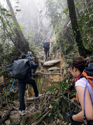 Mount Tahan via Merapoh ladders