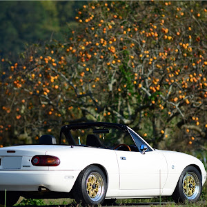 ロードスター NA8C