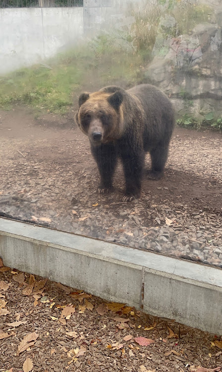 ワゴンRの市内散歩がてら・動物園は大人も楽しいに関するカスタム事例の投稿画像8枚目