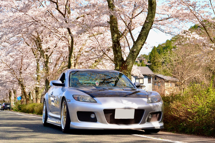 RX-8の桜コラボ・RX8に関するカスタム事例の投稿画像1枚目