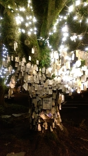 The Wishing Tree