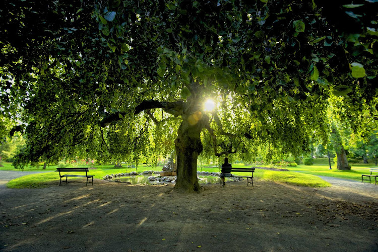 Head to one of Halifax's serene public parks to commune with nature. 