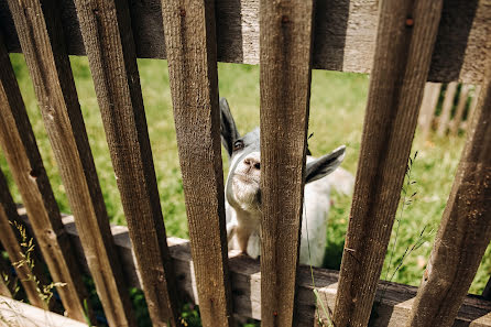 Wedding photographer Dmitriy Pautov (blade). Photo of 11 September 2019