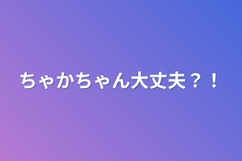 ちゃかちゃん大丈夫？！