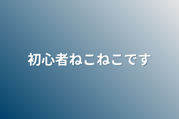 「初心者の猫好き人間です」のメインビジュアル