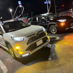 RAV4 MXAA54