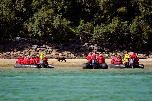 Ponant-Yacht2.jpg - Ponant can drop anchor in small bays, such as Katmai National Park and Preserve in Alaska, to give you a closeup view of wildlife. 