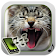 Sons D'animaux Sonneries Gratuites icon