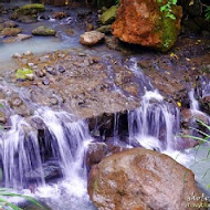 大山背客家人文生態館