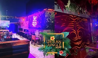 Urban Jungle