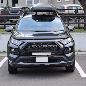 RAV4 MXAA54