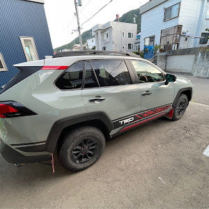 RAV4 MXAA54