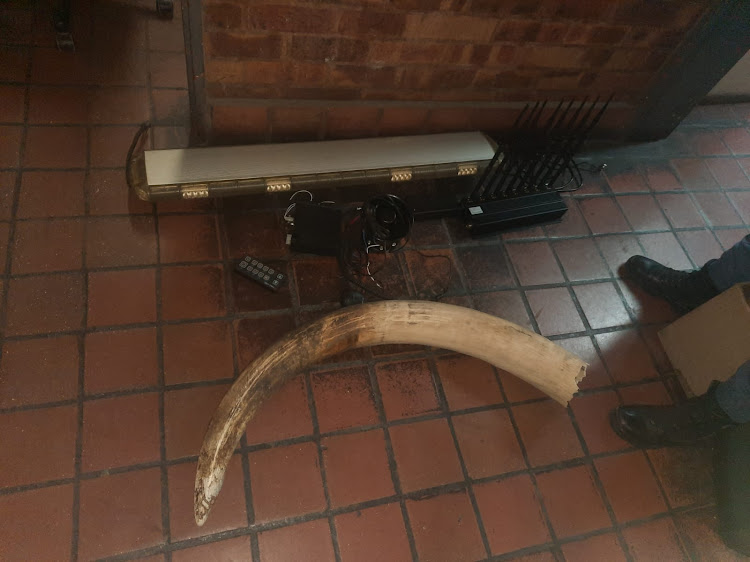 An elephant tusk was among the items found at the Alexandra property.
