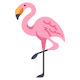 flamingo HD Wallpapers - Custom New Tab