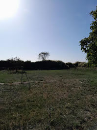 terrain à Saint-Martin-la-Pallu (86)