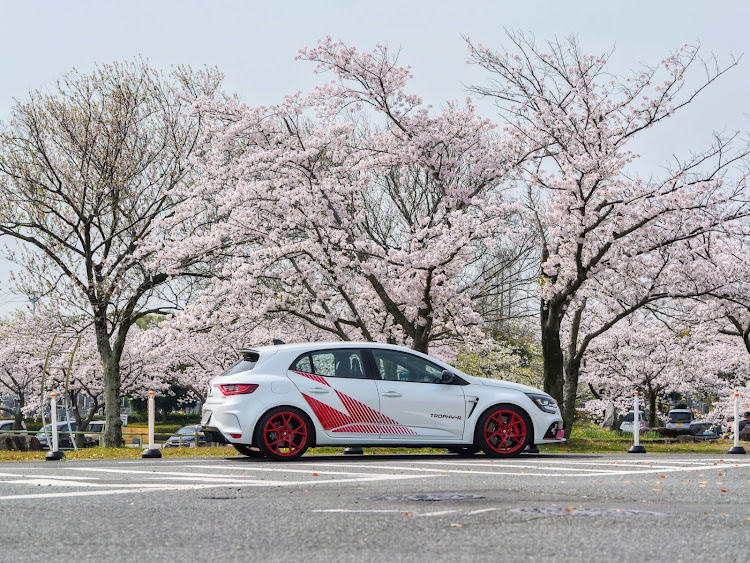 メガーヌ ハッチバックのサクラと愛車・桜とコラボに関するカスタム事例の投稿画像3枚目