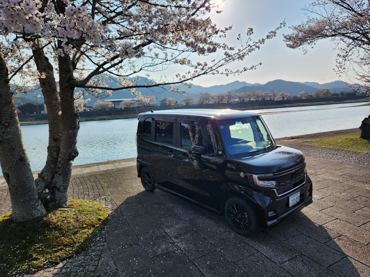 Nボックスカスタムの京都府・京丹波町・南丹市・日吉町・園部町・八木町・美山町・亀岡市・桜コラボ！！・道の駅[丹波マーケス]&大堰川緑地公園・車若干汚い！！・コロナ・インフル増加傾向！要注意！！に関するカスタム事例の投稿画像28枚目