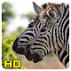 Download Zebra Wallpapers For PC Windows and Mac 1.0