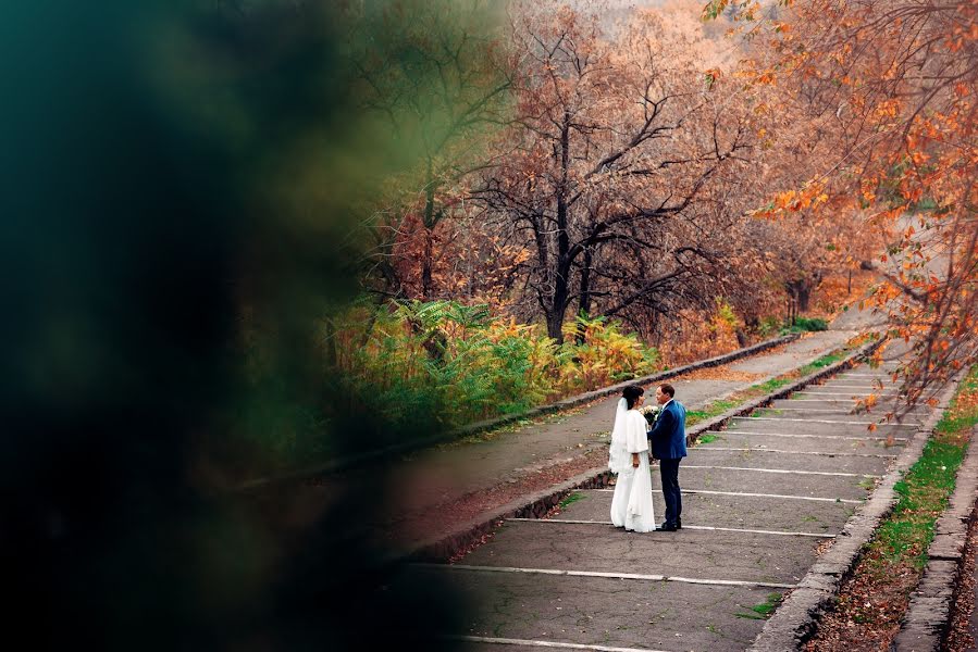 Wedding photographer Oleg Chaban (phchaban). Photo of 11 November 2017