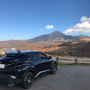 C-HR ZYX10