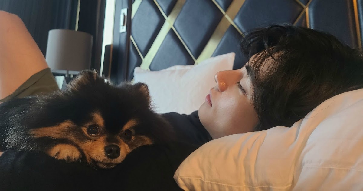 Mystery Solved: BTS's V Reveals The Person Who Took His Cutest Dog-Dad