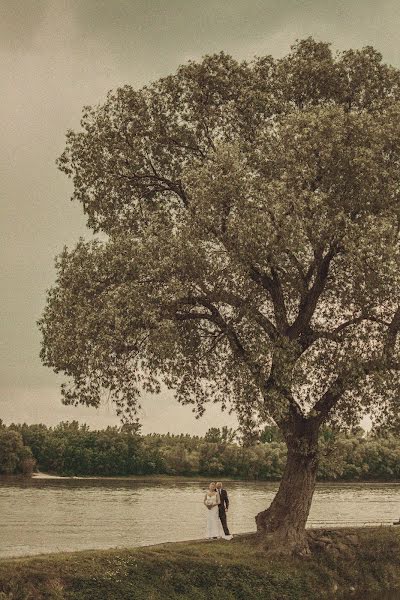 Fotografo di matrimoni Gábor Badics (badics). Foto del 10 maggio 2016