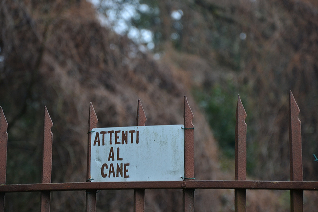 attenti al cane di ELENA 77