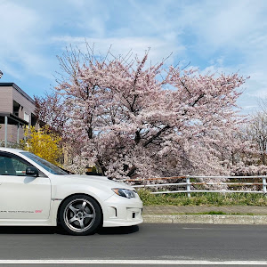 インプレッサ WRX STI GRB