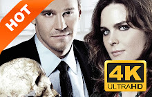 Dr. Temperance Brennan HD TV New Tab Theme small promo image