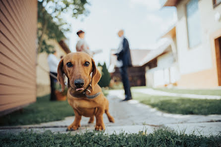 結婚式の写真家Patrik Molčan (patrikmolcan)。2021 11月9日の写真